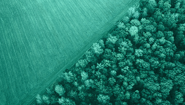 Software ERP Pyme y Empresas